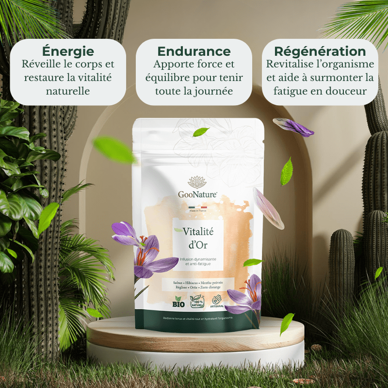 Vitalité d’Or – Infusion anti-fatigue naturelle au Safran et plantes tonifiantes